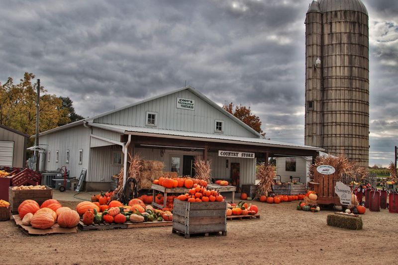 Cody's Farm & Orchard, LLC Cody's Farm & Orchard, LLC