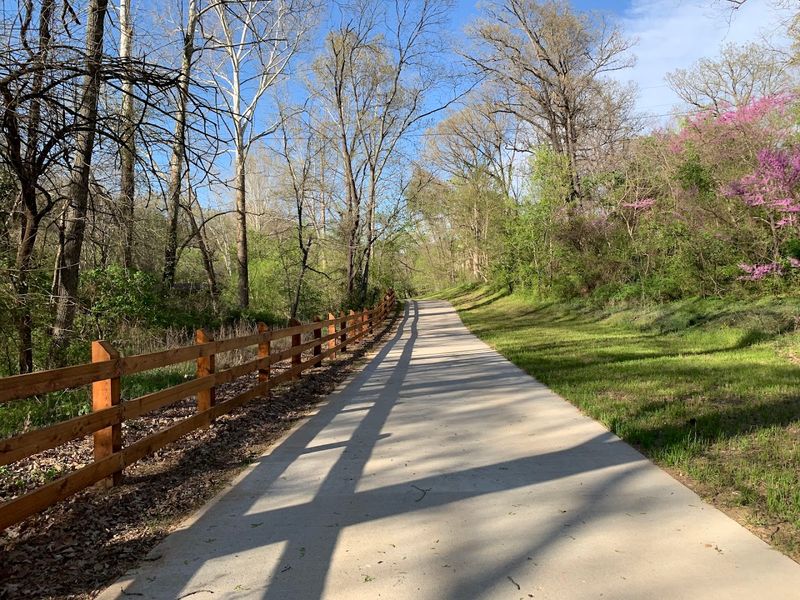 Designed For Beginners Yet Thrilling For Experts