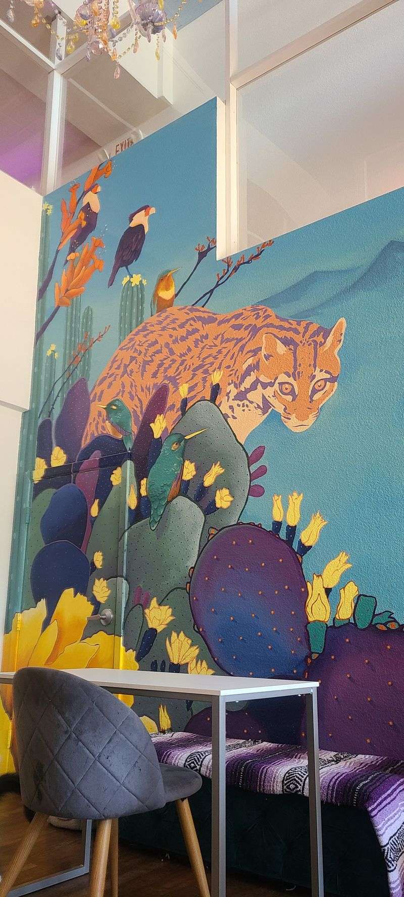 Adoptable Cats Looking for Forever Homes