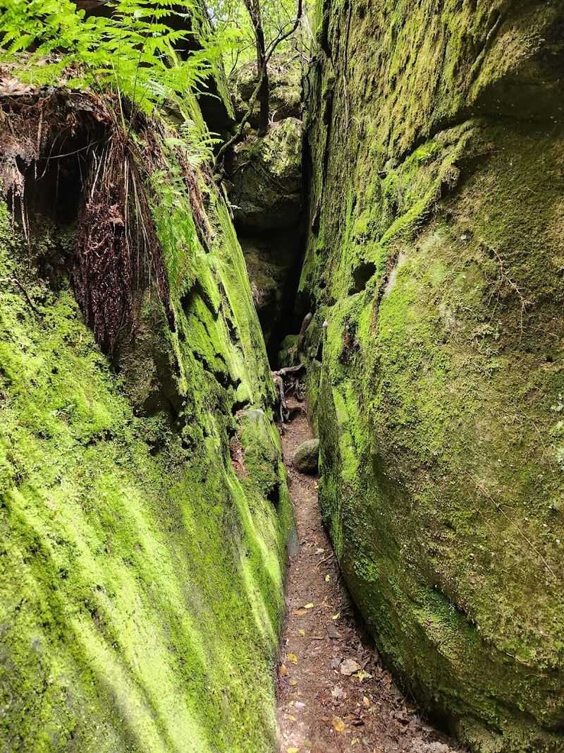 This Canyon Has Stories Older Than America