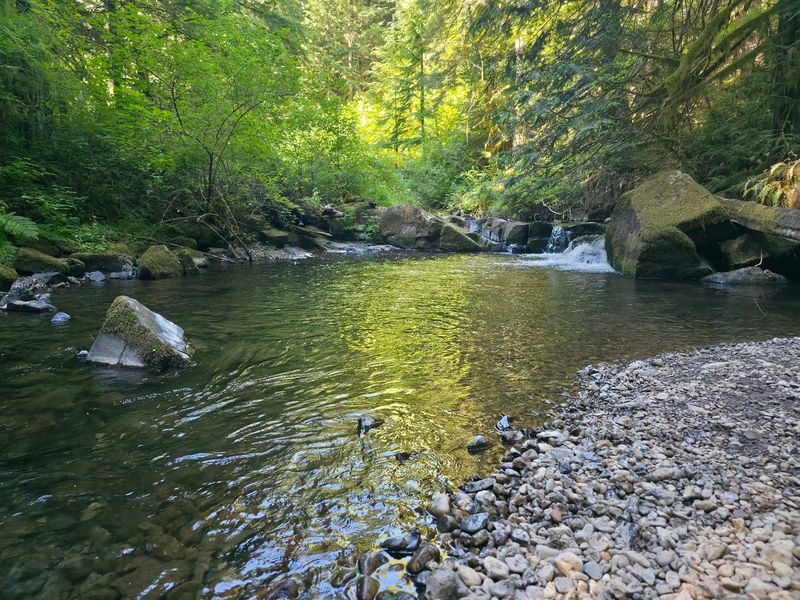 Cold Creek Campground