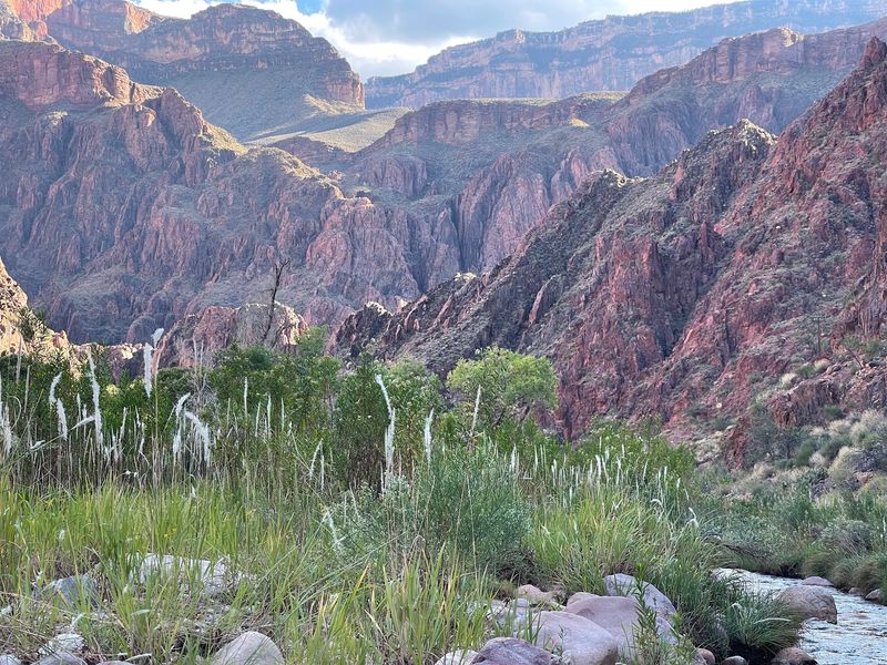 Cold Creek Soaks And Glowing Scorpion Hunts Fill The Evenings Cold Creek Soaks And Glowing Scorpion Hunts Fill The Evenings