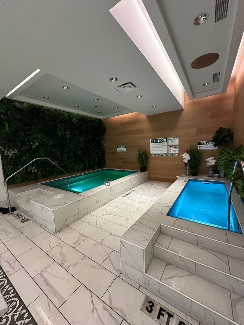 Cold Plunge: Brave Enough To Try It?