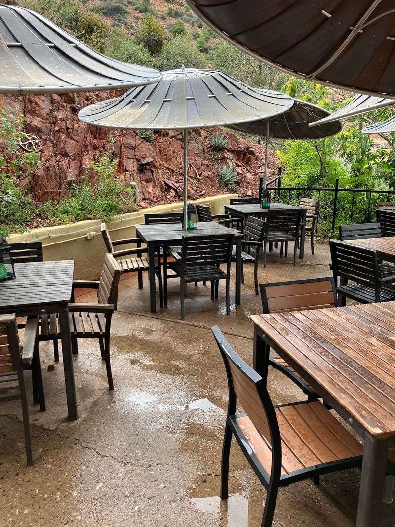 Cold Sodas on a Dog-Friendly Patio