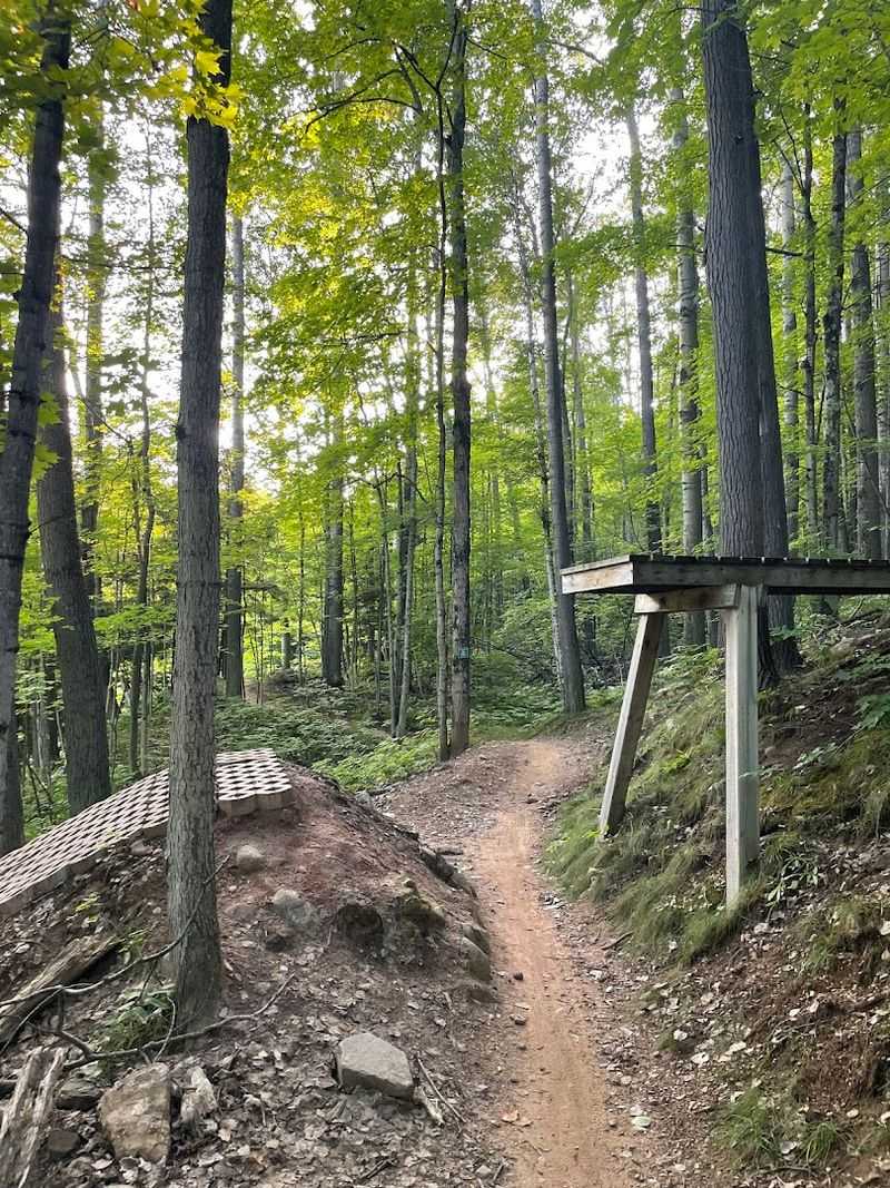 Sharing Space With Bikes