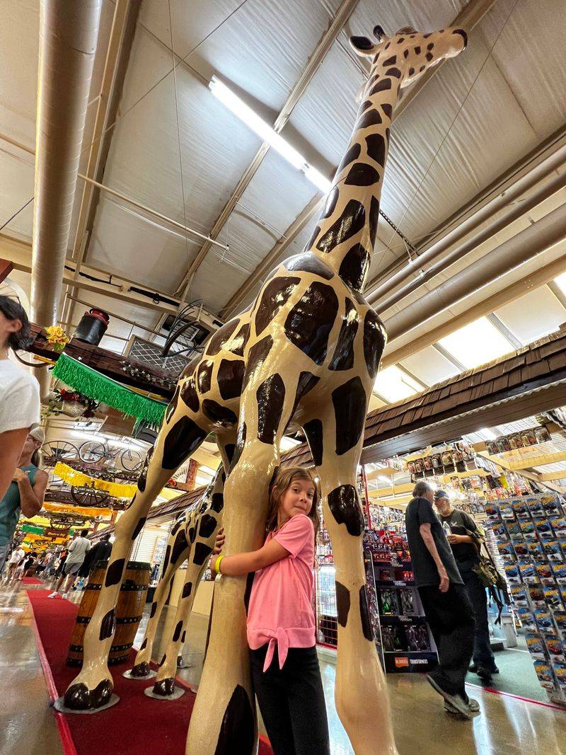 Plan for Serious Walking