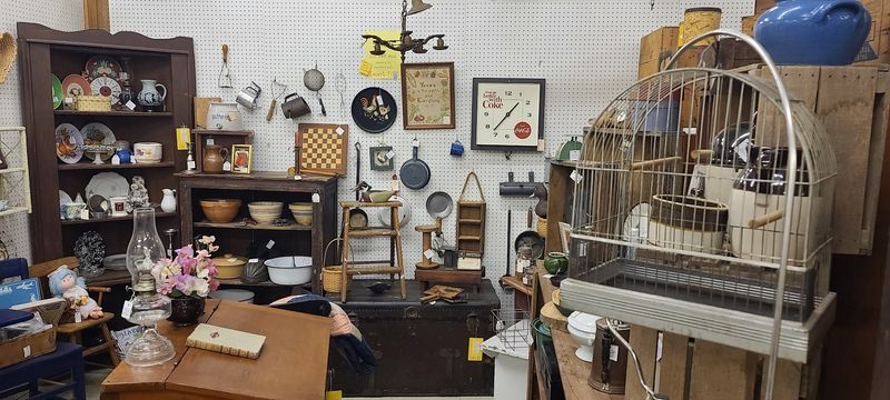 Quirky Curiosities You Cannot Find Anywhere Else