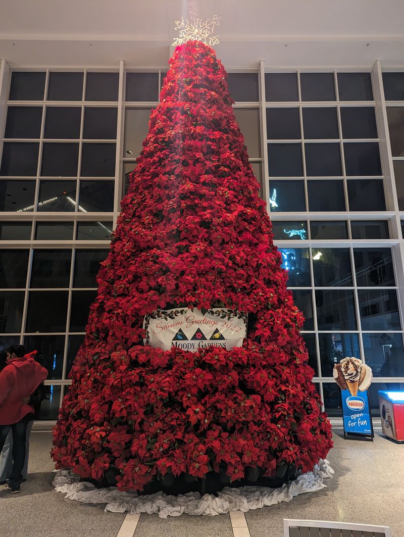 Galveston Island and Moody Gardens Holiday in the Gardens