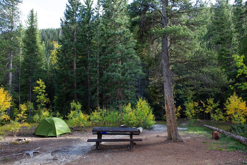 Collegiate Peaks Campground, Buena Vista, CO