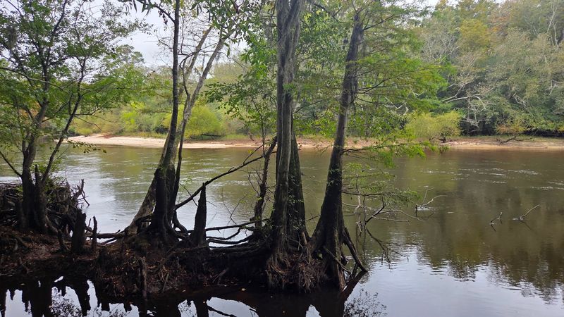 Colleton State Park Campground, Walterboro, SC Colleton State Park Campground, Walterboro, SC