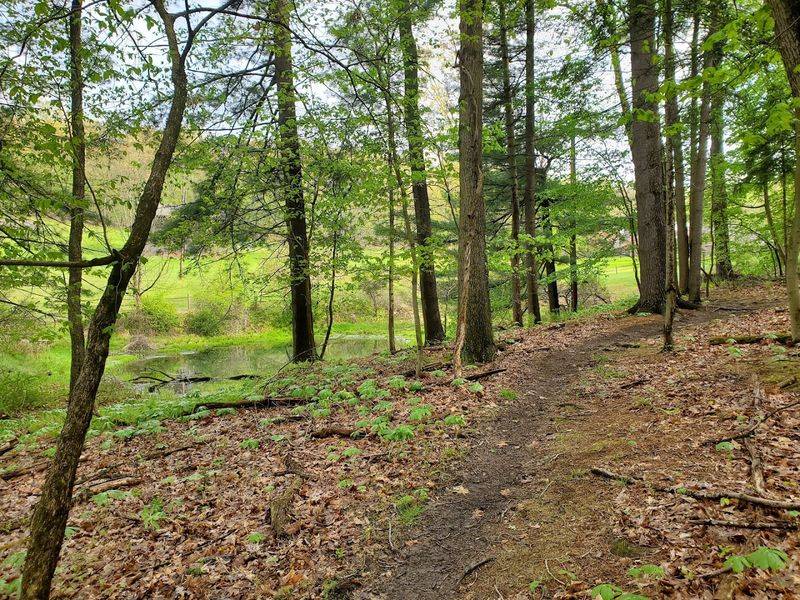 Color-Coded TrailsFor Every Skill Level Color-Coded TrailsFor Every Skill Level