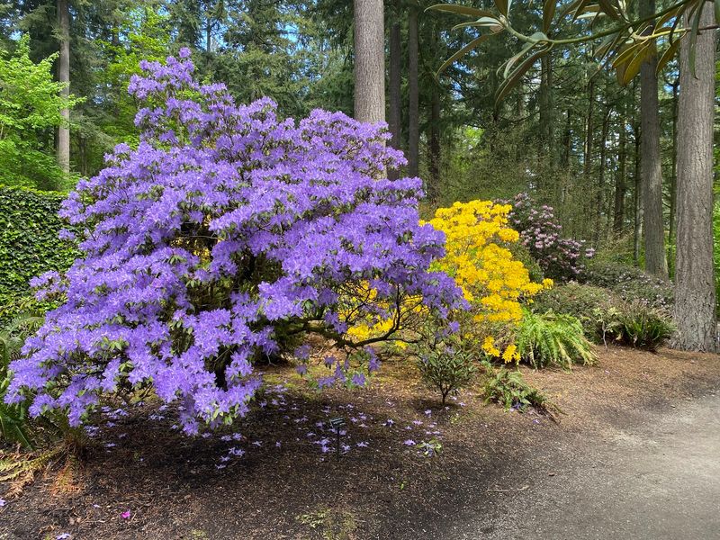 Color In Every Season Of The Year