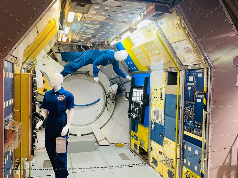 The Three-Story Slide That Steals the Show