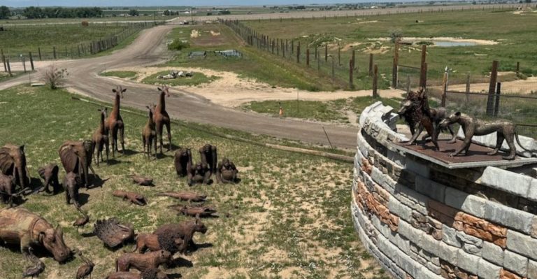 Colorado’s Massive 1,400-Acre Wildlife Sanctuary Lets You See Exotic Animals Roaming In Natural Habitats