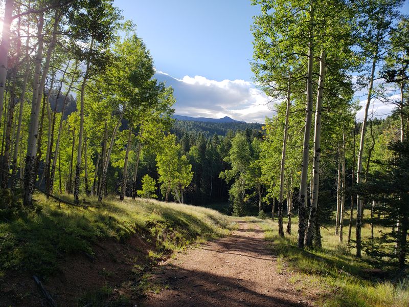 The Plan That Picks You