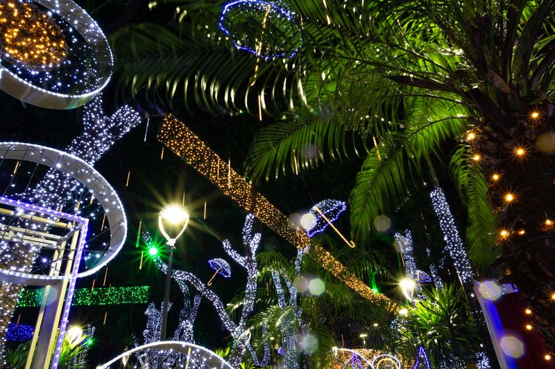 Colorful Lights Create A Storybook Atmosphere