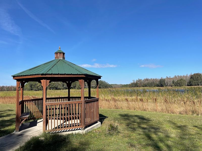 Colt Creek State Park Campground, Lakeland