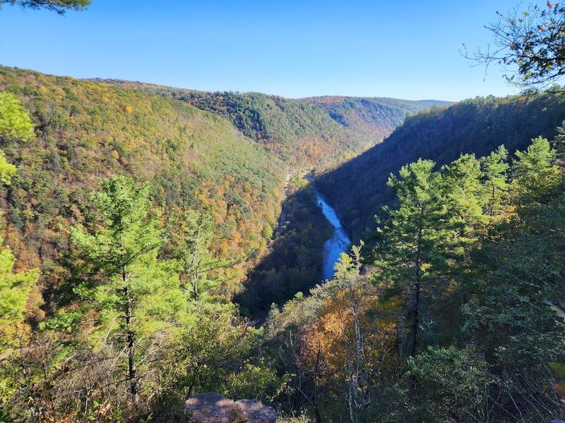 Colton Point State Park, Tioga County, Pennsylvania