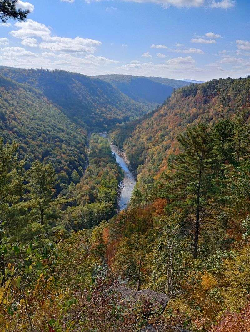 Colton Point State Park, Tioga County