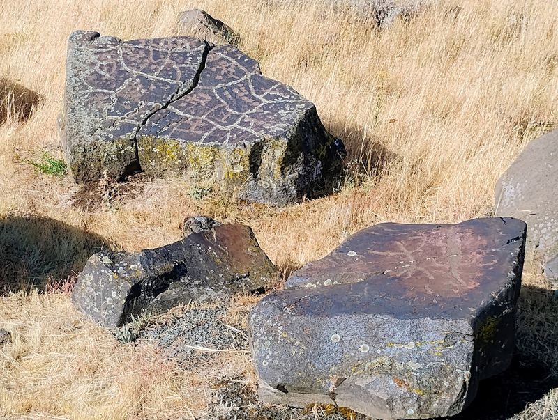 Columbia Hills Historical State Park, Lyle, Washington