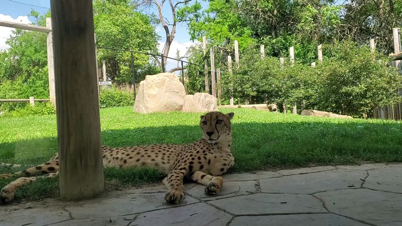 Columbus Zoo and Aquarium, Powell