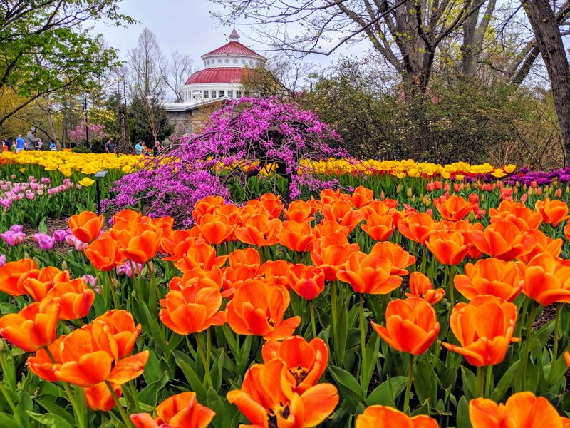 Cincinnati Zoo & Botanical Garden, Cincinnati