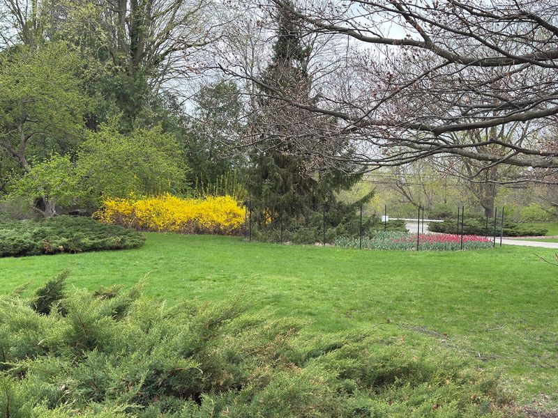 Come Back In Daylight For The Rest Of The Gardens