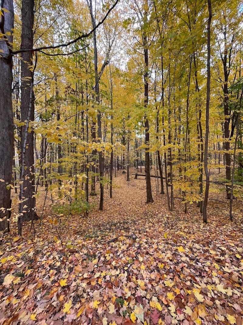 Expect Simplicity, Not Spectacle