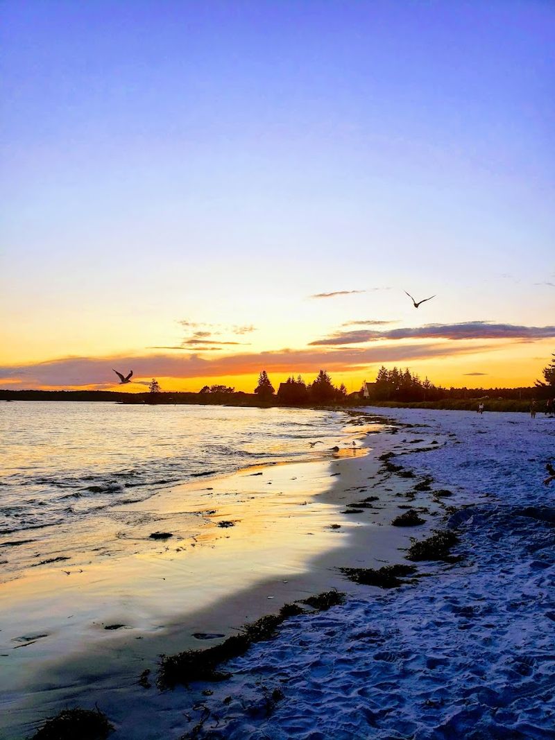Comforts Behind The Sand