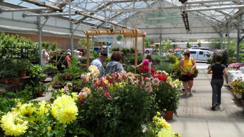 Community Events Make Plant Shopping A Party