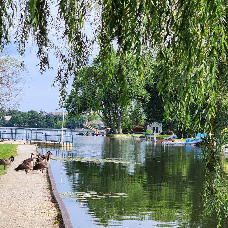 Parks, Playgrounds, And Everyday Joy