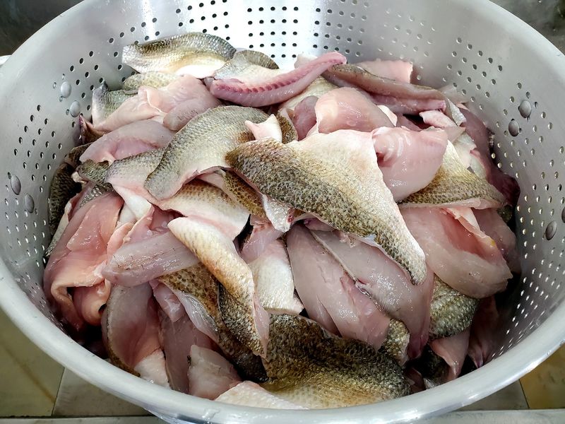Compare Walleye And Whitefish Options Compare Walleye And Whitefish Options