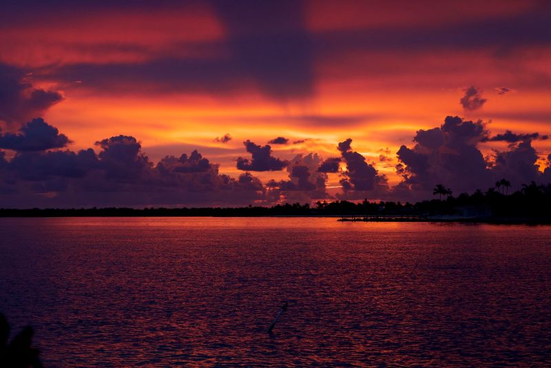 Snorkeling Paradise Right Outside Your Door