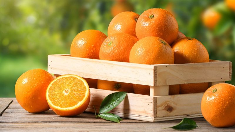 Fresh Florida Oranges