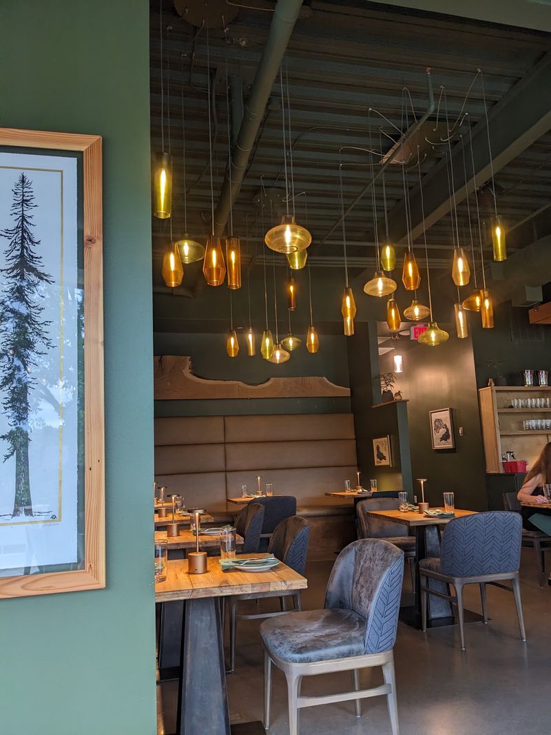 Conifer, Bentonville