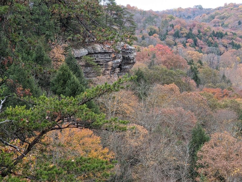 Conkle's Hollow Rim Trail, Rockbridge