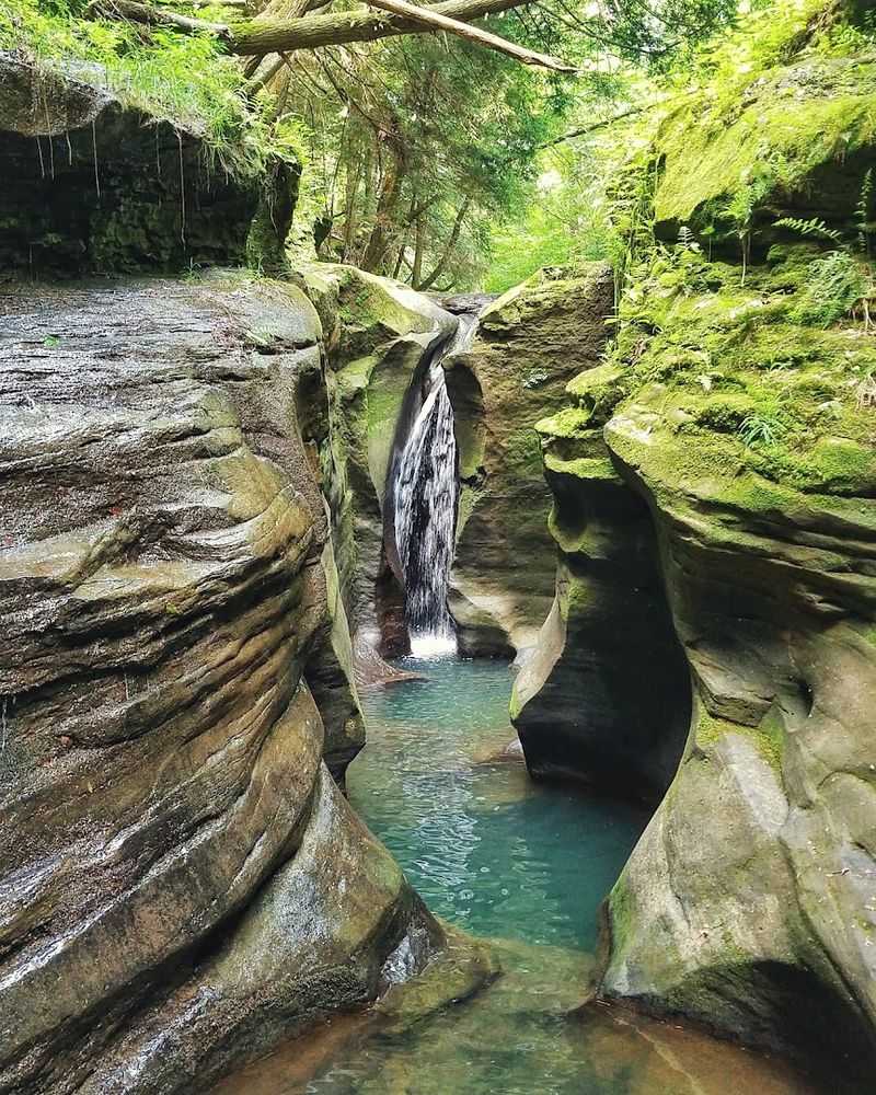 Boch Hollow State Nature Preserve, Logan, OH
