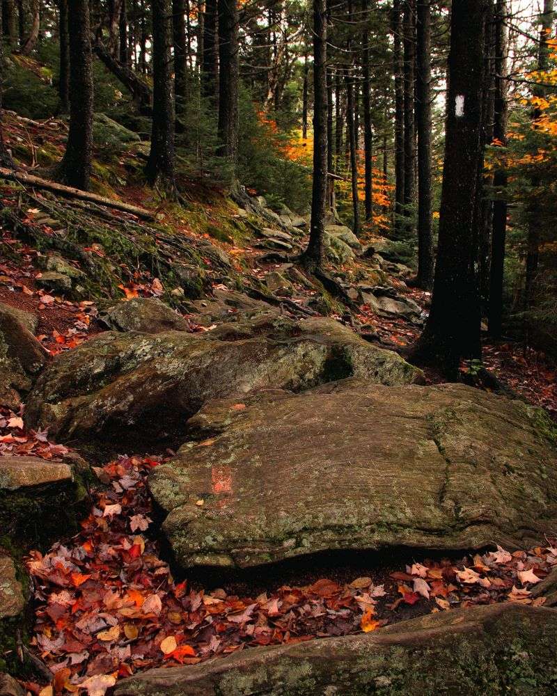 Connecting To The Sunapee-Ragged-Kearsarge Greenway