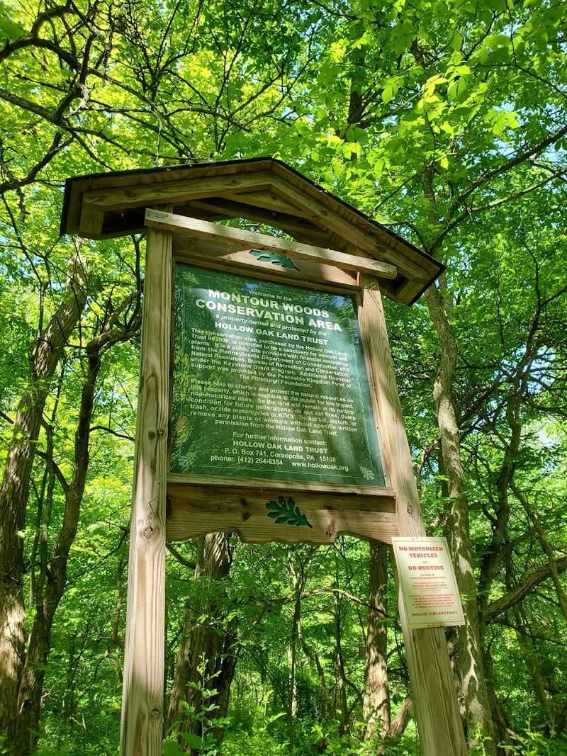 Abandoned Oil Well Equipment And Industrial History