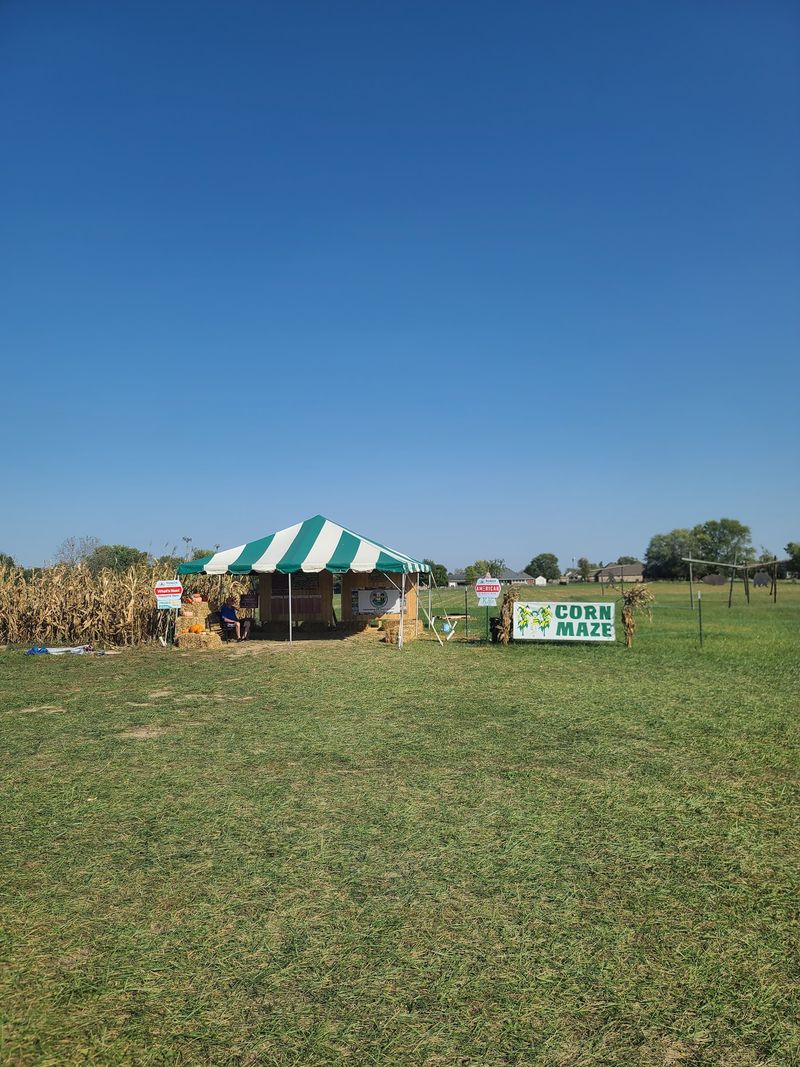 Conquer The Twisting Corn Maze