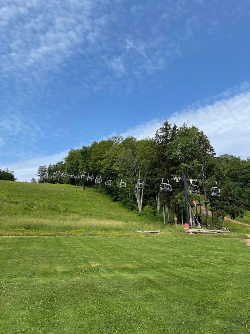 Conquering The Aerial Adventure Course