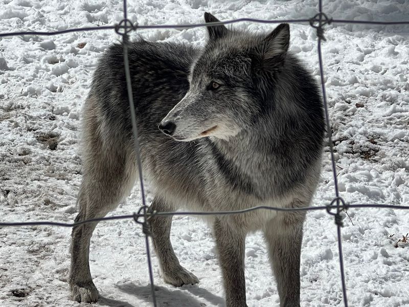 Conservation Education That Actually Changes How You Think