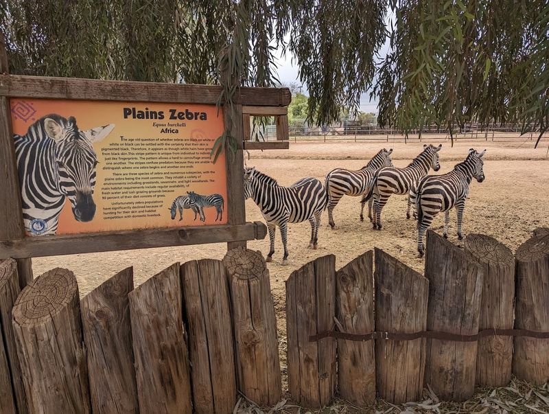 Conservation Efforts And Accreditation Conservation Efforts And Accreditation