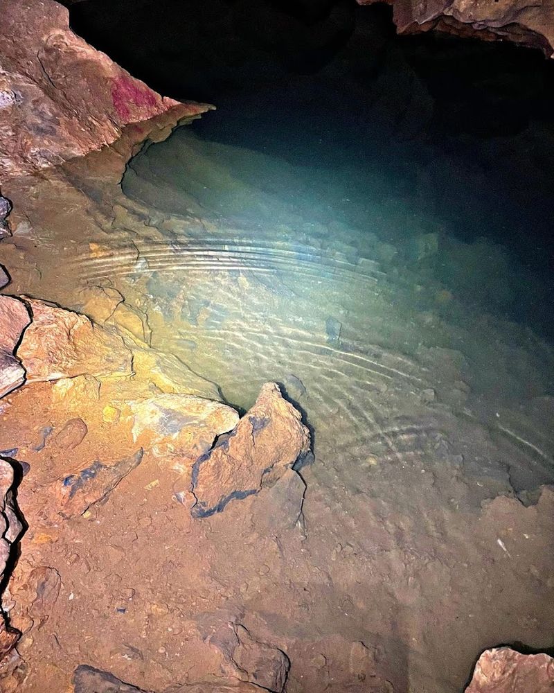Conservation Efforts And The Cave's Complicated Past