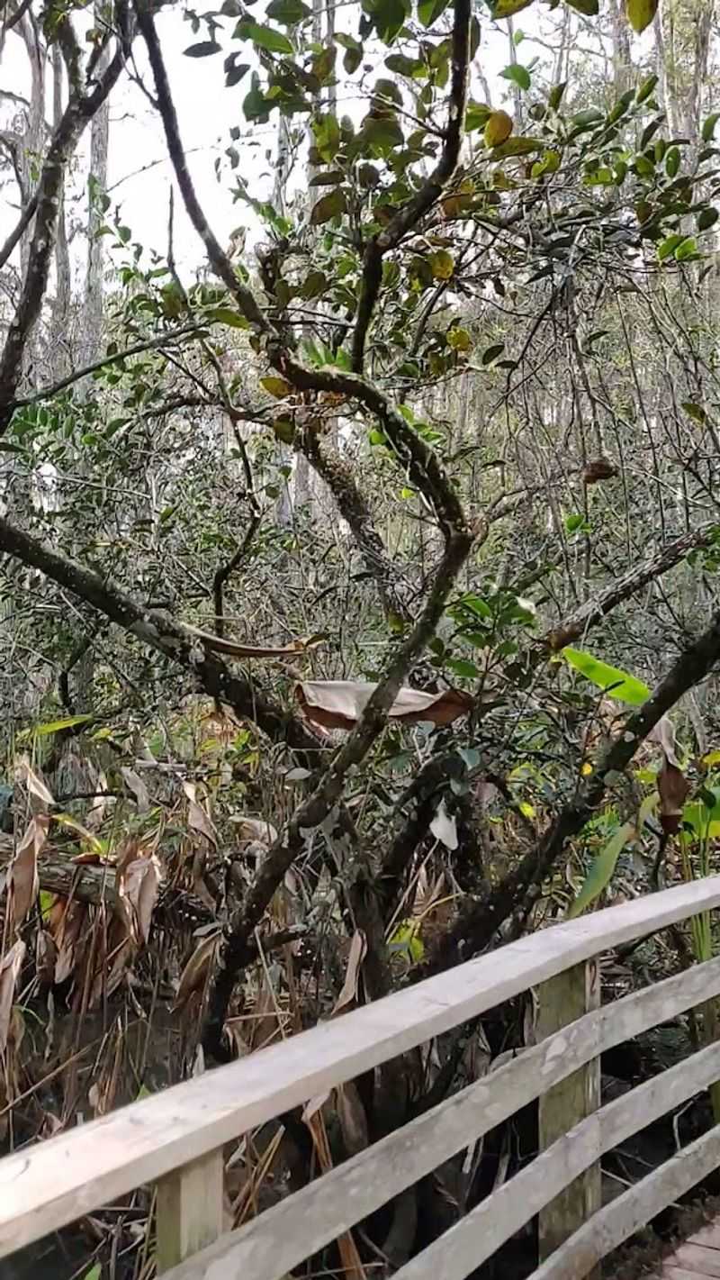 Accessible Adventure Close To Naples