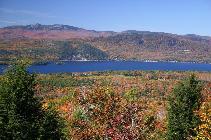 Conservation That Actually Makes A Difference