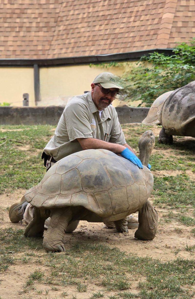 Conservation Work Runs Deeper Than The Exhibits Conservation Work Runs Deeper Than The Exhibits