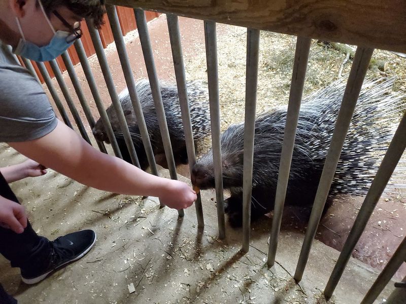 Consider A Private Tour For Older Kids