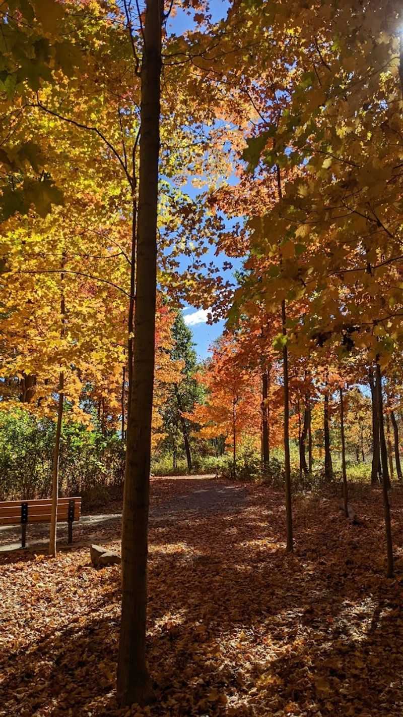 Consider A Seasonal Return Visit Instead Of A One-Time Stop