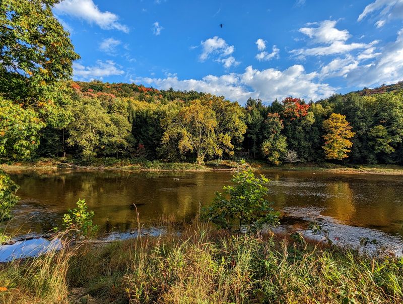 Cook Forest State Park